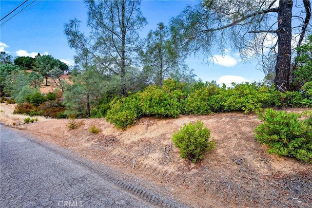 Listing photo 3 for 12220 Cerrito Dr, Clearlake Oaks CA 95423