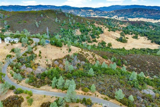 12220 Cerrito Dr, Clearlake Oaks, CA 95423