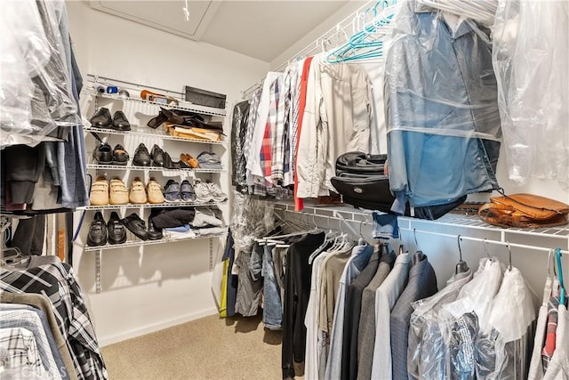 spacious closet featuring carpet flooring and attic access