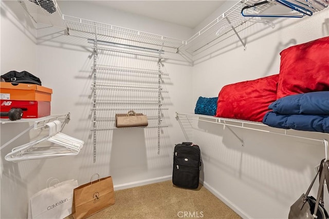 walk in closet featuring carpet