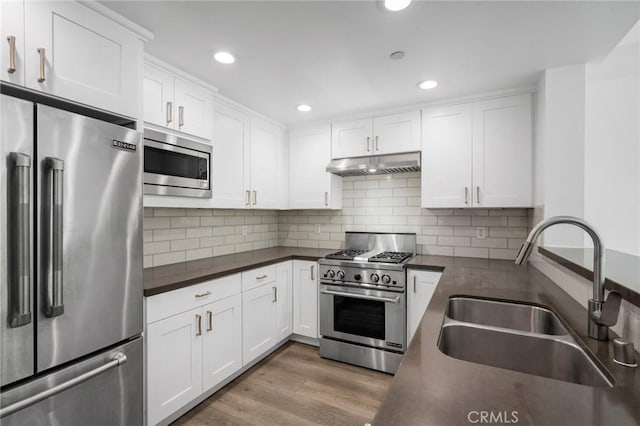 kitchen featuring high quality appliances, light wood-style flooring, a sink, under cabinet range hood, and dark countertops