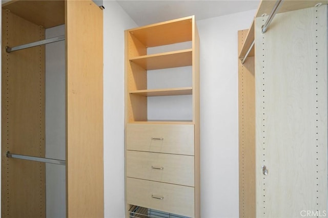 view of walk in closet