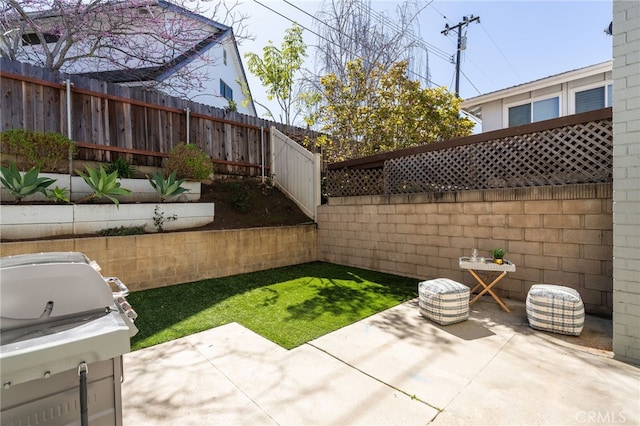 view of yard featuring a fenced backyard and a patio