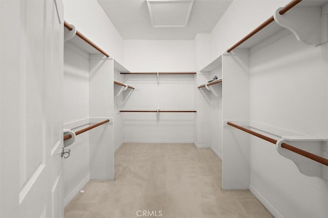 walk in closet with light colored carpet