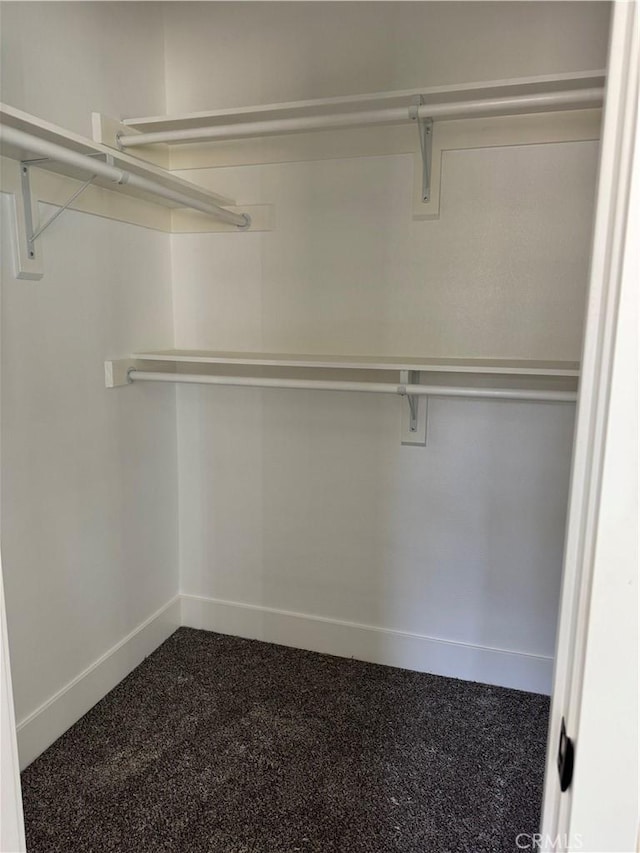 spacious closet with dark colored carpet