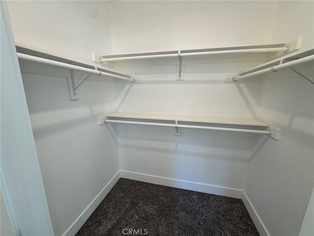 spacious closet featuring dark colored carpet