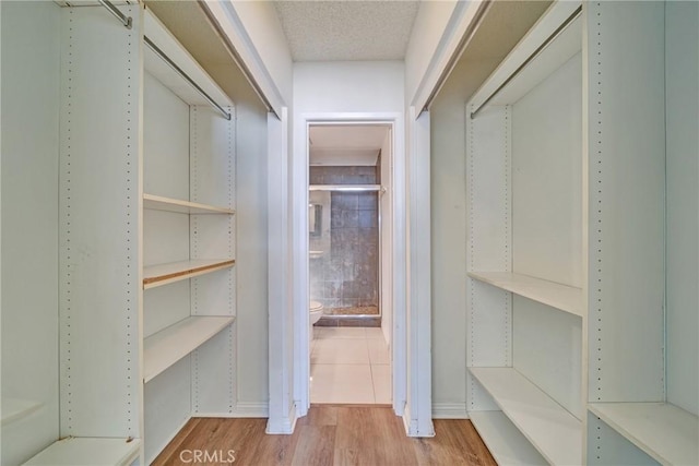 walk in closet featuring wood finished floors