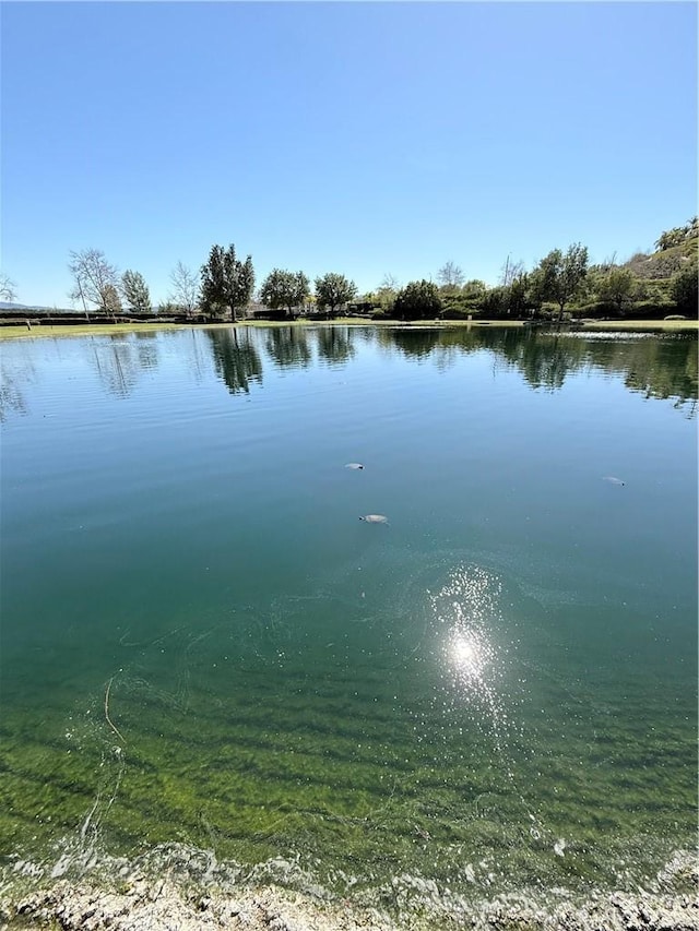 view of water feature