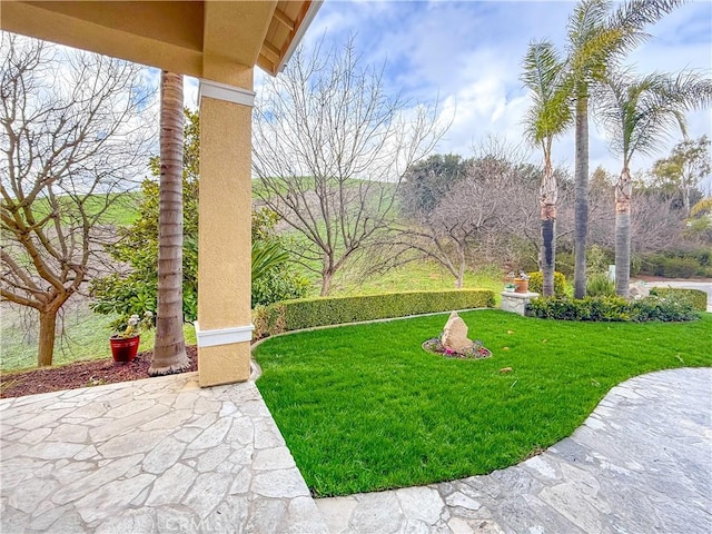 view of yard featuring a patio