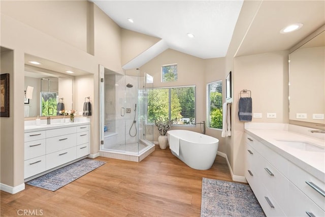 bathroom with wood finished floors, two vanities, a freestanding bath, a sink, and a shower stall