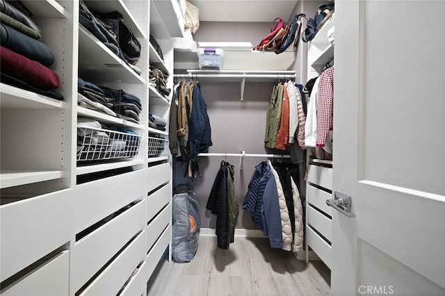 spacious closet featuring wood finished floors