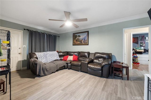 living area featuring light wood finished floors, crown molding, and a ceiling fan