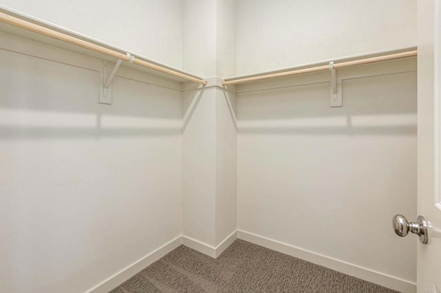 walk in closet with carpet floors