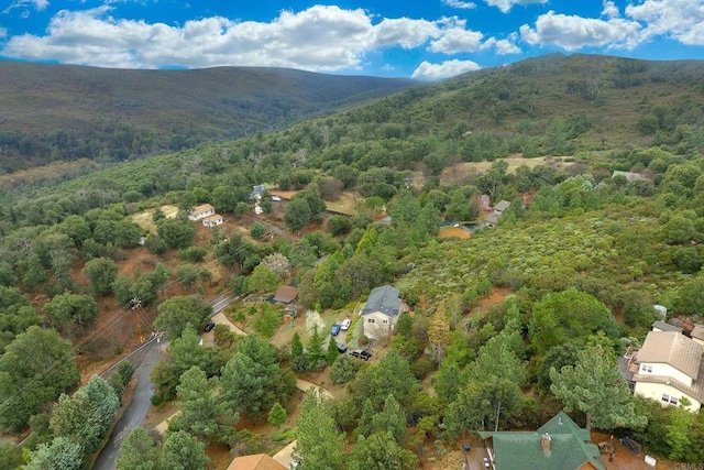 drone / aerial view featuring a mountain view and a view of trees