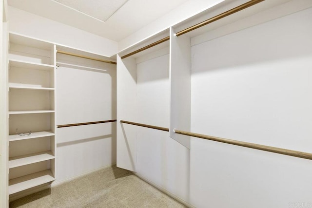 spacious closet with carpet floors