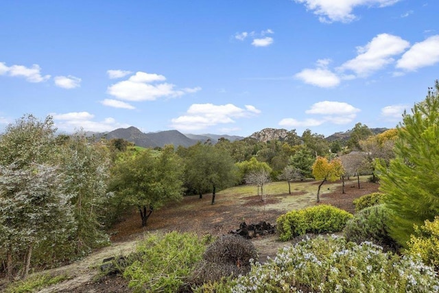 view of mountain feature with a view of trees