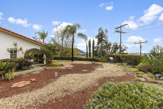 view of yard featuring a patio