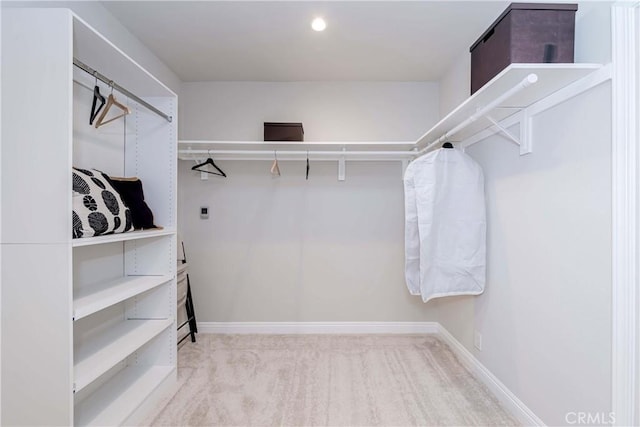 walk in closet featuring carpet