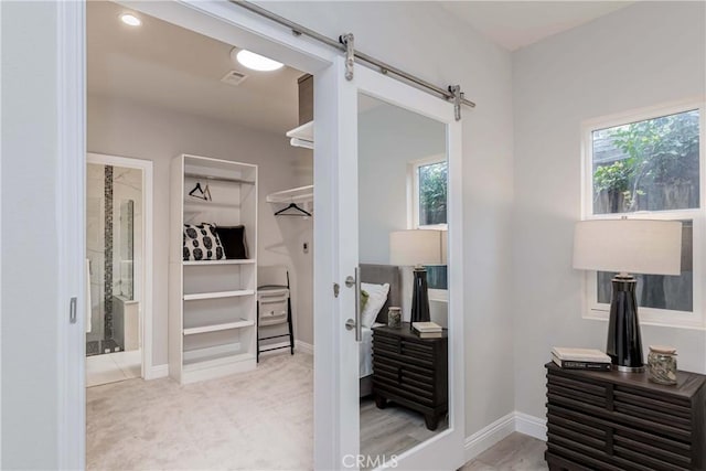 spacious closet with visible vents, a barn door, and carpet floors