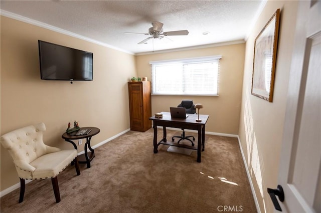 carpeted office featuring crown molding, baseboards, and a textured ceiling