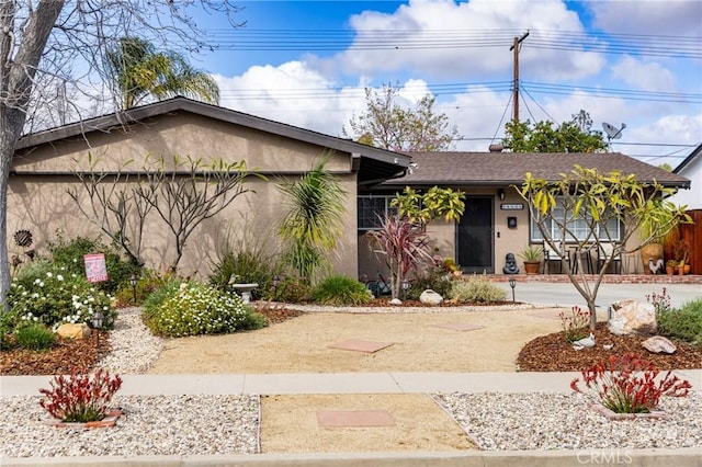 view of front of house featuring stucco siding and roof with shingles