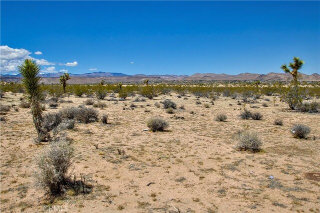 888 Lucky Ln, Landers, CA 92285