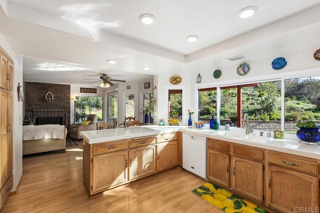 kitchen featuring dishwasher, light wood-style flooring, a healthy amount of sunlight, and a sink