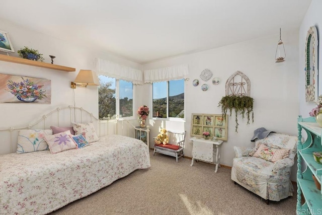 bedroom with carpet