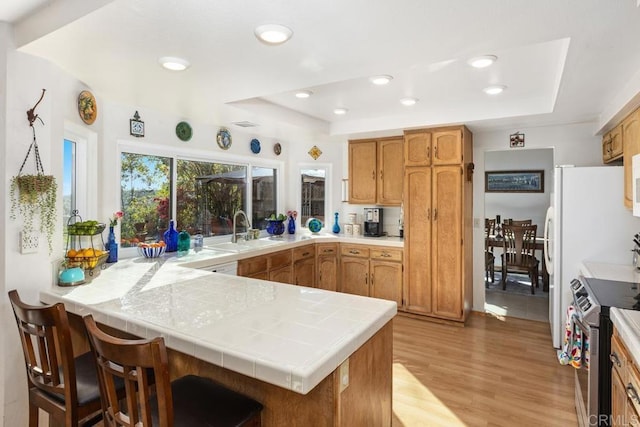 kitchen with a peninsula, a raised ceiling, electric stove, and a sink