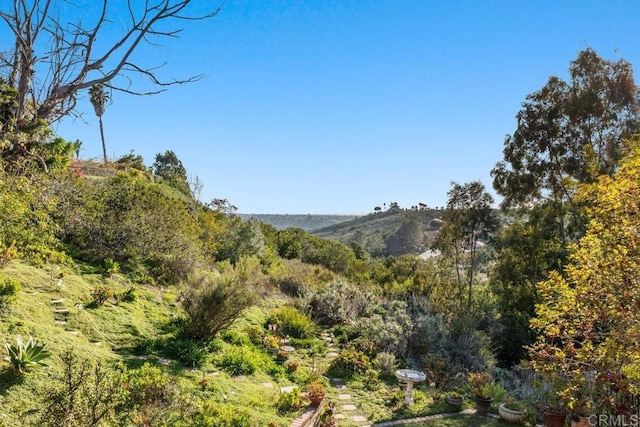 mountain view with a wooded view