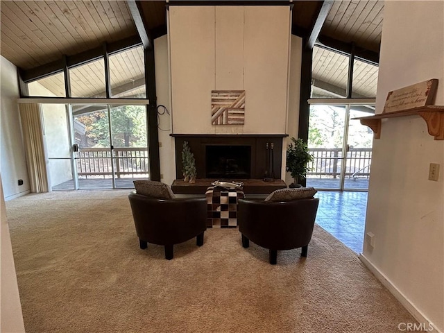 living area with carpet flooring, a healthy amount of sunlight, a fireplace with raised hearth, and floor to ceiling windows