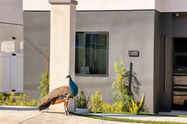 doorway to property with stucco siding