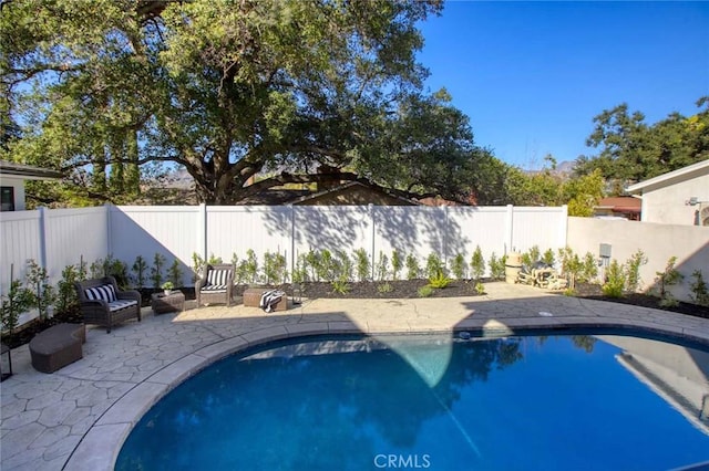 view of swimming pool with a patio area, a fenced in pool, and a fenced backyard