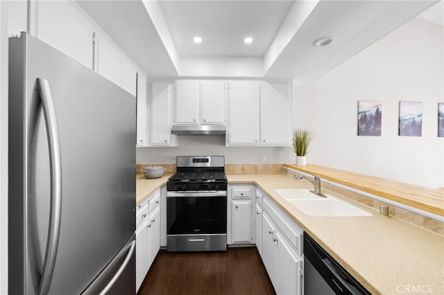 kitchen featuring dark wood-style floors, a sink, light countertops, under cabinet range hood, and appliances with stainless steel finishes