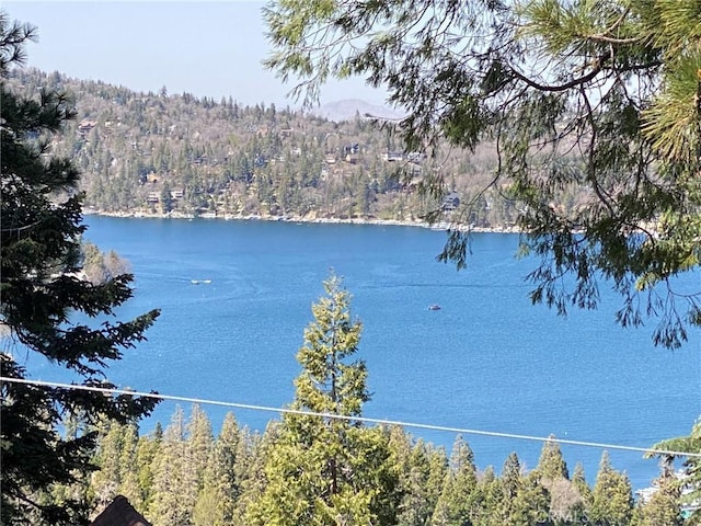 534 Dover Ct, Lake Arrowhead, CA 92352 - water view with a heavily wooded area