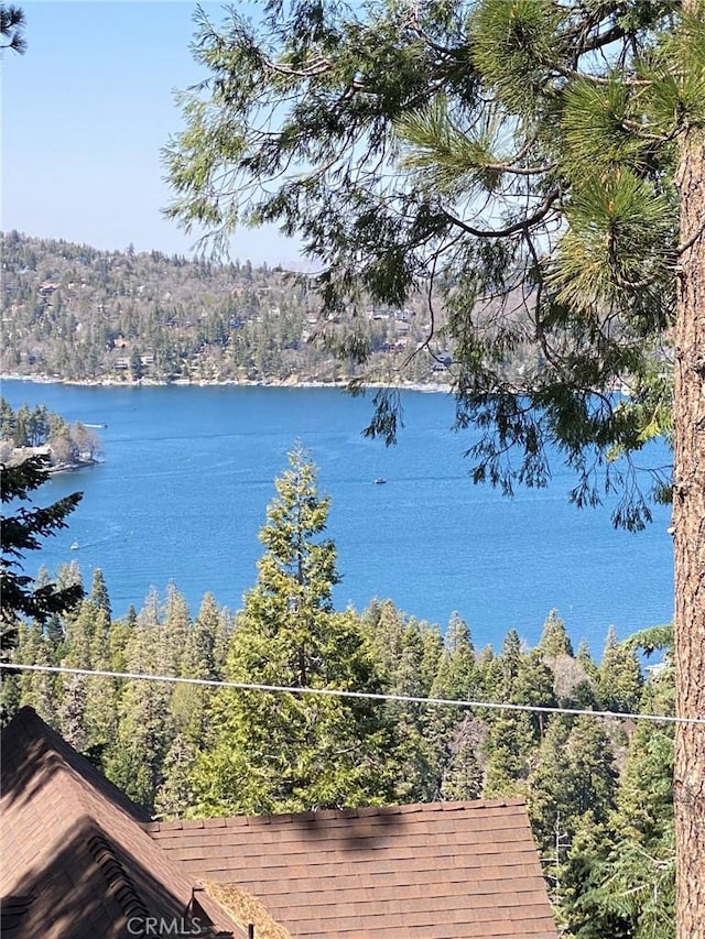 534 Dover Ct, Lake Arrowhead, CA 92352 - water view with a forest