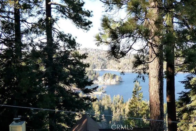 534 Dover Ct, Lake Arrowhead, CA 92352 - water view featuring a forest