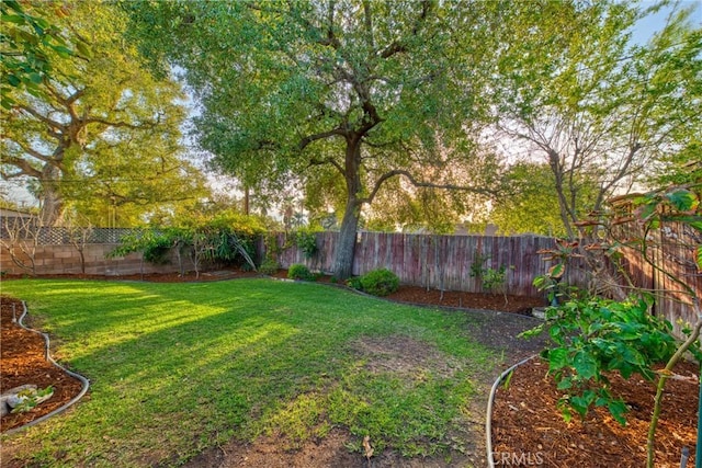 view of yard with a fenced backyard