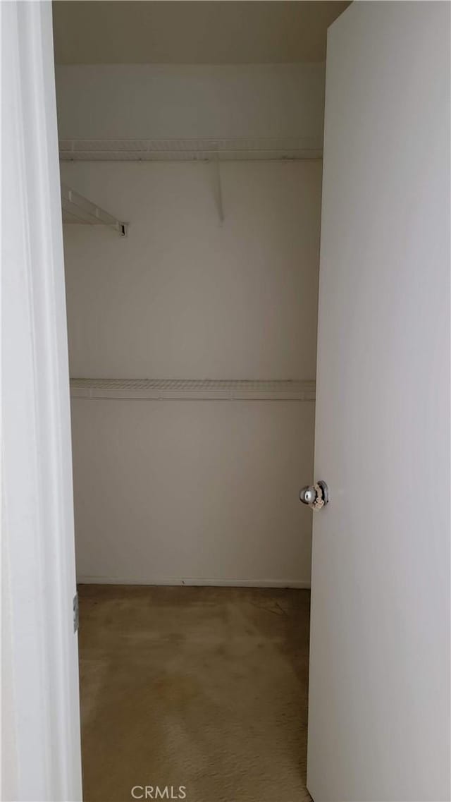 walk in closet featuring carpet flooring