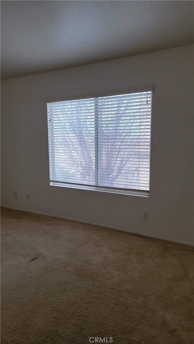 empty room featuring a healthy amount of sunlight and carpet flooring