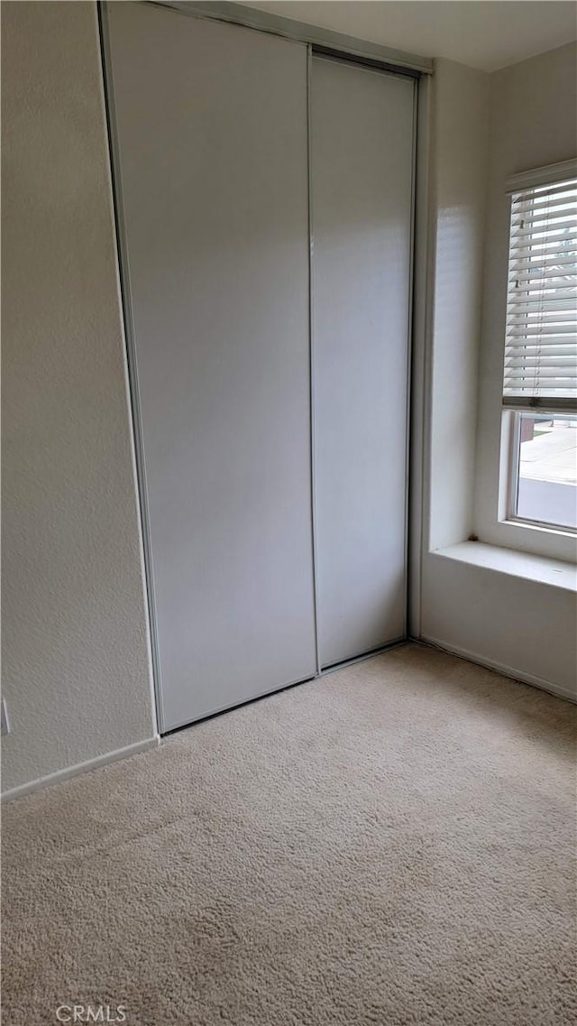 interior space with carpet flooring and a closet