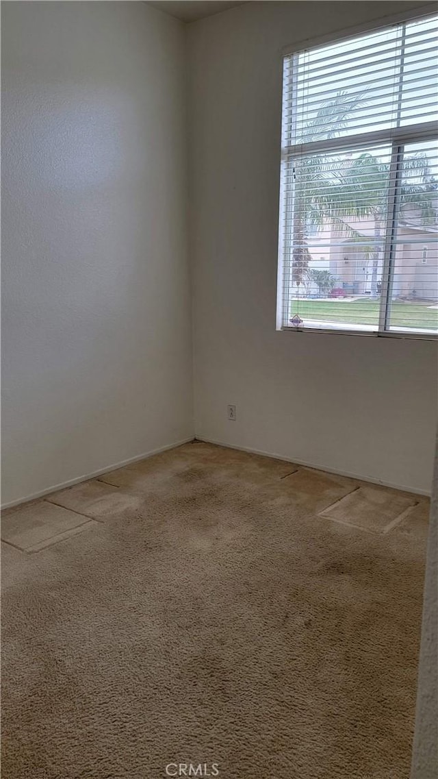 spare room featuring carpet