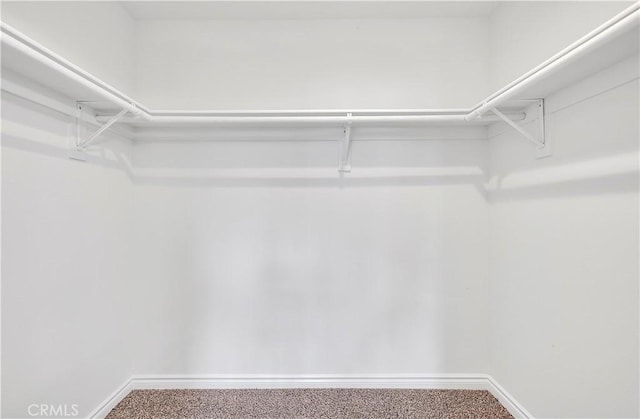 spacious closet featuring carpet flooring