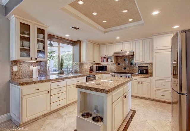 kitchen featuring visible vents, under cabinet range hood, a tray ceiling, stainless steel appliances, and open shelves