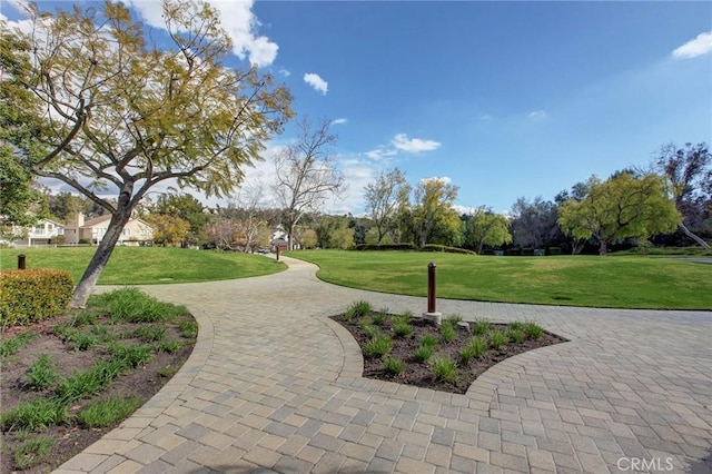 view of home's community with a lawn