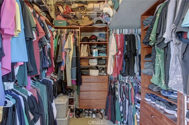 walk in closet featuring carpet floors