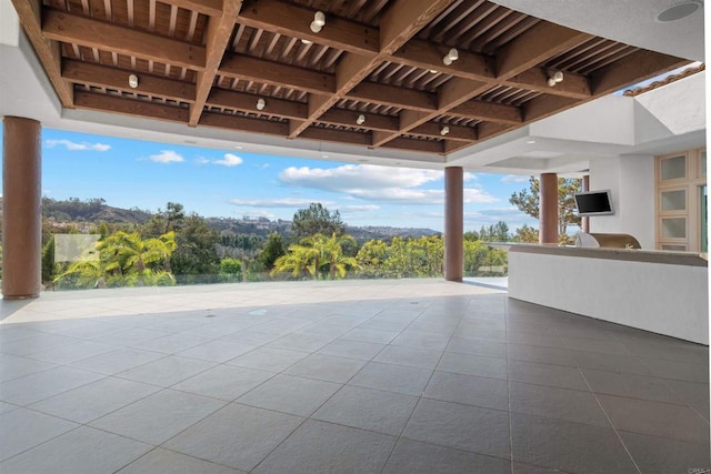 view of patio / terrace with an outdoor kitchen