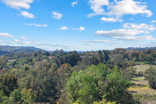 property view of mountains with a view of trees