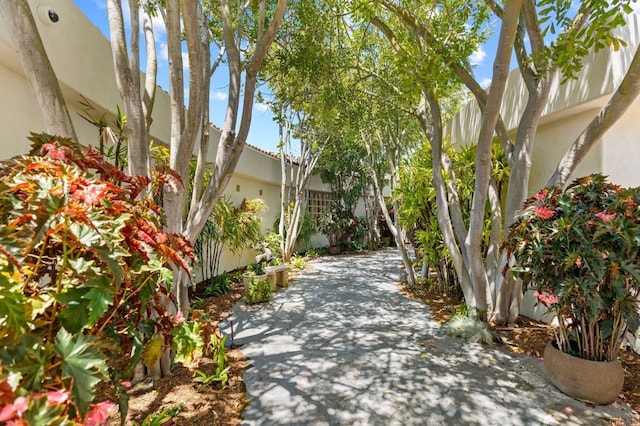 view of side of property featuring stucco siding