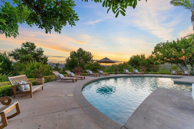 outdoor pool with a patio